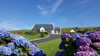Blue Ocean Guest Suites - B&B