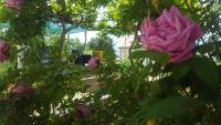 Apartments Laura - B&B Stara Baška