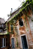 Villa della Fonte - B&B Roma