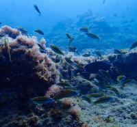 Apartment - auf 2 Etagen