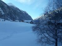 Appartement met 1 Slaapkamer