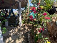Purple Homestay Hillside - B&B