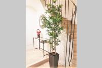 Sweet Apartments Downtown - B&B Vila Nova de Famalicão