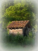 Deluxe Bungalow mit Gartenblick