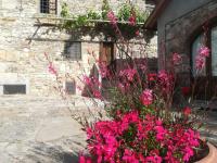 Villa Migliorati - Ferienwohnung