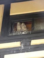 Rittergut Reudnitz - B&B Reudnitz