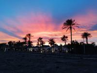 Appartamento - Piano Terra