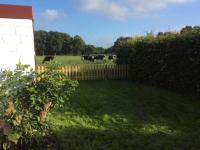 Ferienhuus Schwalbennüst, 15183 - B&B Leer