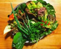 Karibuni Lodge & Private SPA Suites - Bed and Breakfast Villarrica