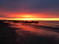 The Bookstore Family Apartment - Chambres d’hôtes Hellissandur