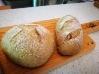 Zimmer mit 2 Queensize-Betten