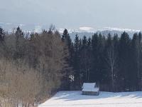 Appartamento Monolocale