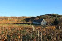 A Kert Apartman - B&B Rezi