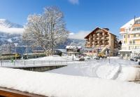 Chalet Waldschluecht - B&B Wengen
