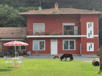 The Horse - B&B Pogno