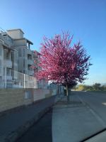 Playa Sol Apartment - B&B Denia