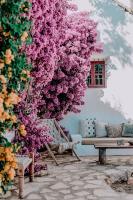 Hotel Can Sastre - B&B Santa Gertrudis de Fruitera