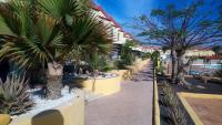 Green Oasis by the pool - Bed and Breakfast Costa Calma