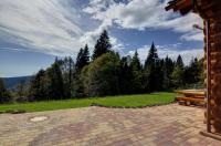 Luxus-Ferienhaus Blockhaus Chalet Nr 1 Toplage am Feldberg mit Sauna, Outdoor-Hottub, Kamin auf 1300m üM - Chambres d'hôtes Feldberg