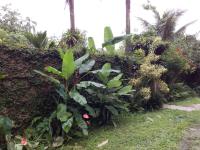 Suites próximo ao rio Jaguareguava em Bertioga - Ferienwohnung Bertioga