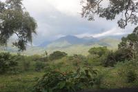 Chambre Simple - Vue sur Montagne