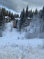 Evrika home 5 - B&B Pamporovo