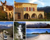 95m2 au calme à 25mn AJACCIO, plages, linge inclus parking ok - B&B Ucciani