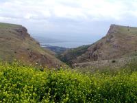 Arbel Holiday Homes - Ferienwohnung Arbel