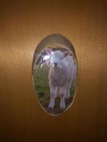 Triple Room with Bathroom