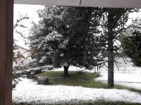 Appartamento con Vista Giardino