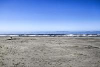 Walk to Beach! The Little Orcas Moclips Cottage - Ferienwohnung Moclips
