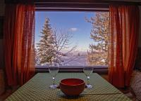 Winter chalet Anzulovic - Ferienwohnung Jahorina