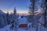 Winter chalet Anzulovic - B&B Jahorina