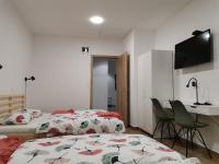 Superior Double or Twin Room with Terrace