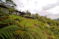 B&B Banjar Pelaga - The Bejalin Eco Retreat - Bed and Breakfast Banjar Pelaga