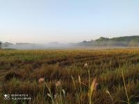Kamer met Queensize Bed en Uitzicht op de Tuin
