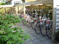 B&B - Pension Perruque - Ferienwohnung Koudum