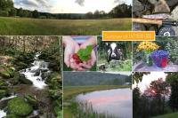 Private Dog-Friendly Home 3 Mi to Elk Mountain - Ferienwohnung Union Dale