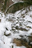 Three-Bedroom Chalet