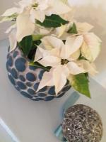 Appartement met 1 Slaapkamer