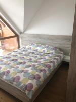 Lukas Superior Apartment & SPA - B&B Zlatibor