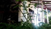 Eagle Homestay - Bed and Breakfast Tangalle