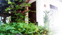 Eagle Homestay - B&B
