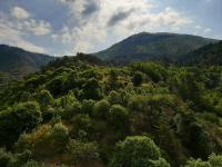 Gite des remparts - B&B Lucéram