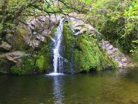 Apart Don Cosme - B&B Santa Rosa de Calamuchita