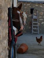 Ranch de Sidi kaouki - B&B Essaouira