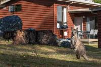 B&B Halls Gap - Wonderland Cottages - Bed and Breakfast Halls Gap