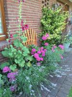 Appartamento con 2 Camere da Letto