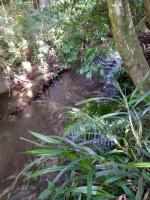 Chale Aroma da Serra - Bed and Breakfast