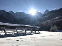 Studio with Forest View - Ground Floor